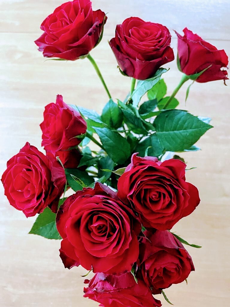 Rote Rosen schenke ich Dir